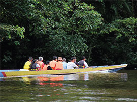 Gunung Mulu National Park Flora & Fauna Gunung Mulu National Park Flora & Fauna