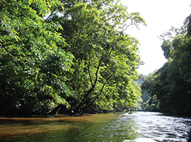 Clearwater Cave & Wind Cave