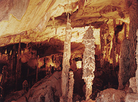 Deer Cave & Lang's Cave