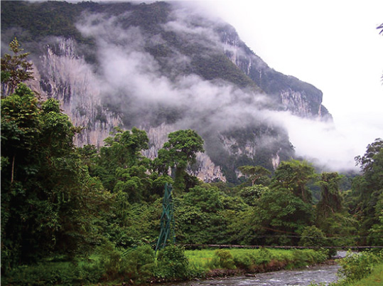 Gunung Mulu Summit Trek Gunung Mulu Summit Trek