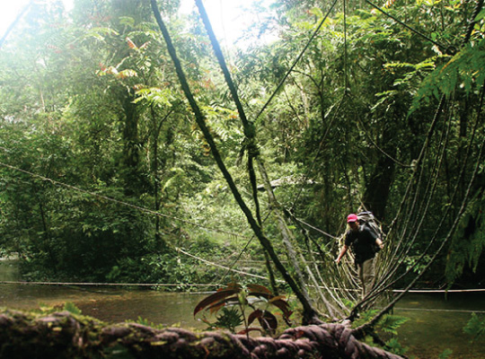 The Headhunter’s Trail The Headhunter’s Trail