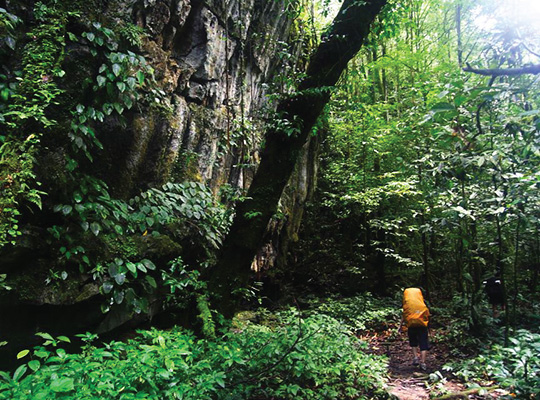 The Headhunter’s Trail The Headhunter’s Trail