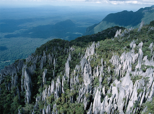 The Pinnacles The Pinnacles