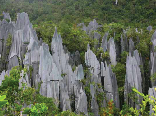 The Pinnacles The Pinnacles