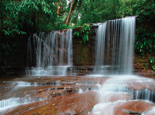 Miri Tours Miri Tours