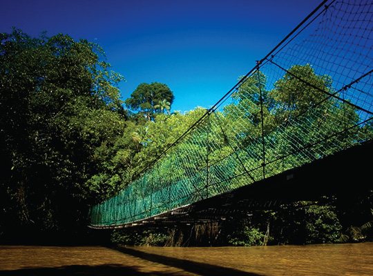 Miri Tours Miri Tours