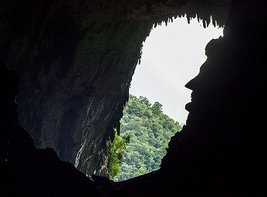 2D1N Mulu Show Caves 2D1N Mulu Show Caves