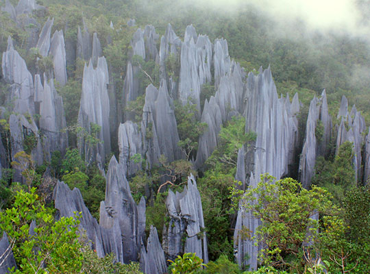 3D2N Mulu Pinnacles 3D2N Mulu Pinnacles