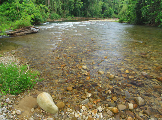 3D2N Mulu Pinnacles 3D2N Mulu Pinnacles