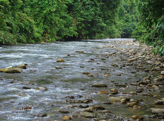 3D2N Mulu Pinnacles 3D2N Mulu Pinnacles