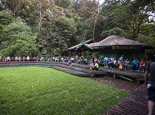 3D2N Mulu Show Caves 3D2N Mulu Show Caves