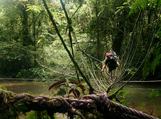 4D3N Mulu Show Caves + Headhunter Trails 4D3N Mulu Show Caves + Headhunter Trails