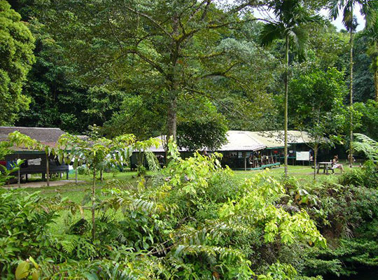 4D3N Mulu Show Caves + Headhunter Trails 4D3N Mulu Show Caves + Headhunter Trails