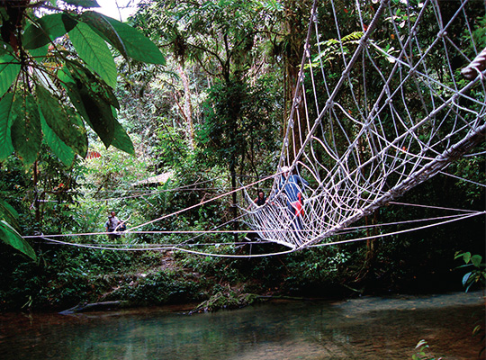 5D4N Mulu Show Caves + Pinnacles + Headhunter Trails 5D4N Mulu Show Caves + Pinnacles + Headhunter Trails