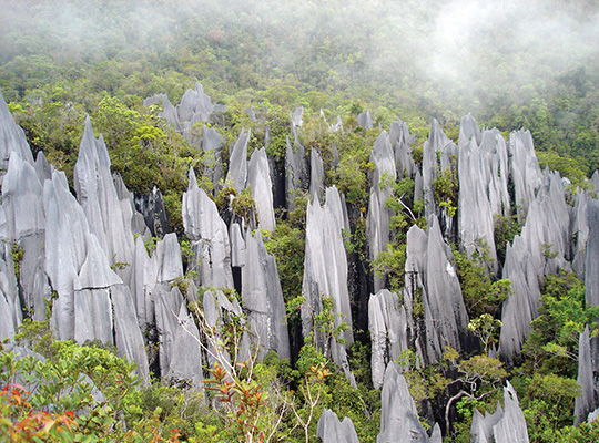 5D4N Mulu Show Caves + Pinnacles + Headhunter Trails 5D4N Mulu Show Caves + Pinnacles + Headhunter Trails