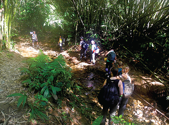 5D4N Mulu Show Caves + Pinnacles + Headhunter Trails 5D4N Mulu Show Caves + Pinnacles + Headhunter Trails