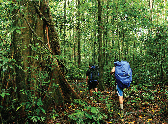 5D4N Mulu Show Caves + Pinnacles + Headhunter Trails 5D4N Mulu Show Caves + Pinnacles + Headhunter Trails